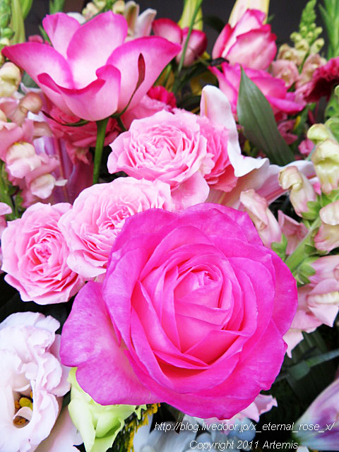 20.1.18.1 岡山はハレの日  (24)