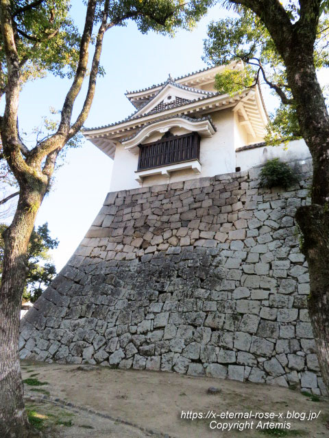 23.1.1.1 岡山城  (12)