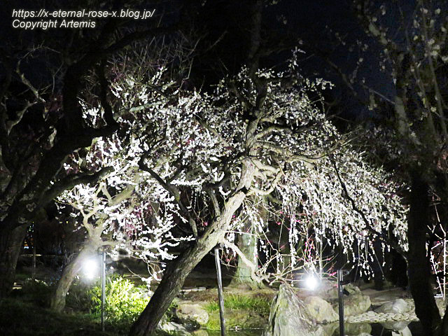 23.3.3. 北野天満宮 (62)