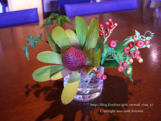 6 うえのだん (24)