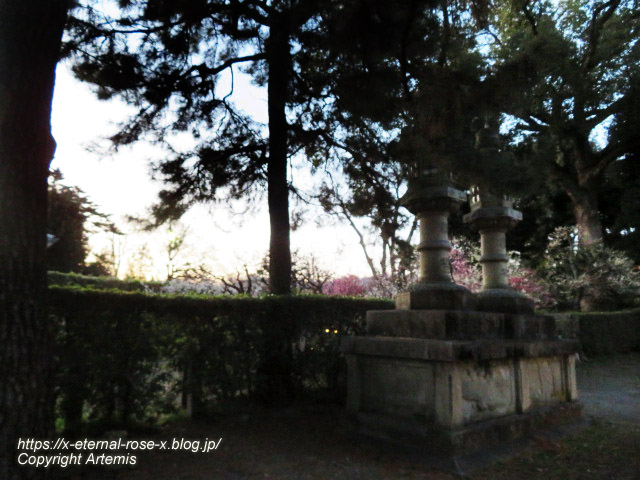 23.3. 北野天満宮 (8)
