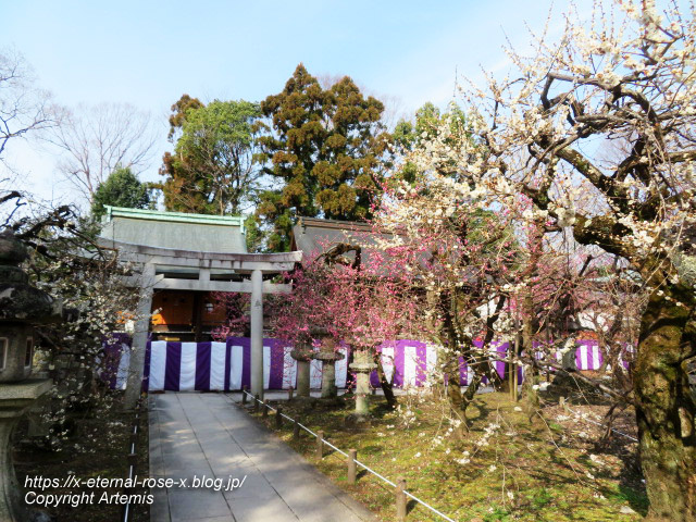 23.3.4 北野天満宮  (57)