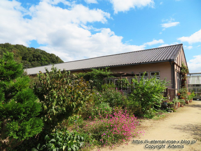 21.10.23.2 熊山英国庭園  (49)