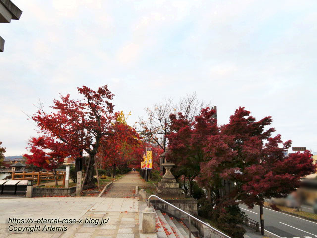 19.11.26.4 長岡天神 (92)