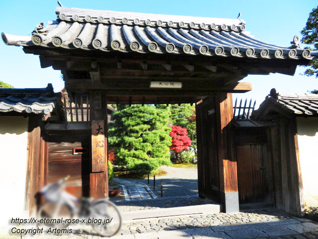 19.11.23.5. 海福院 大心院 (8)