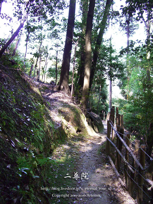 5 二尊院 (17)