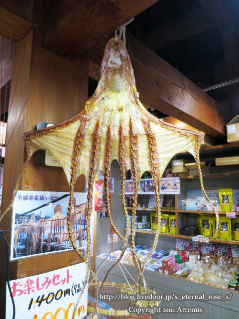 18.6.16.5 しょっぴんぐばさーる館 (12)