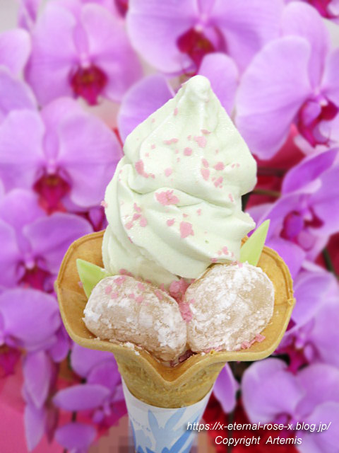 21.8.10.5 モモタロウマルシェ  (16)