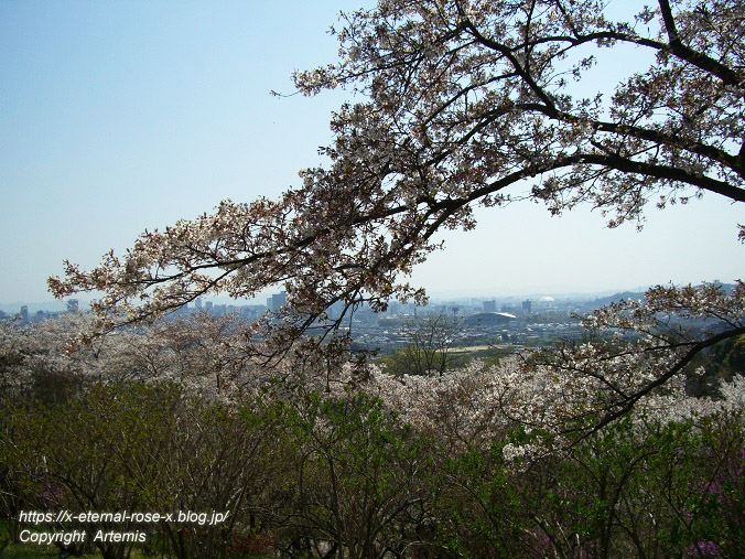 11.4.14.1 半田山植物園  (75)