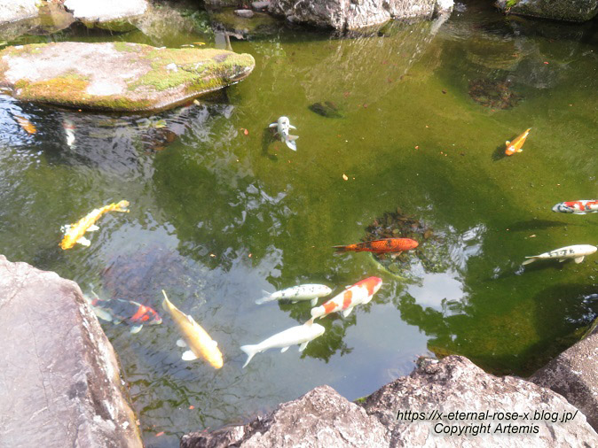 23.2.3.1 吉備津神社  (12)