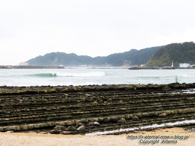 20.11.1.2 青島  (21)