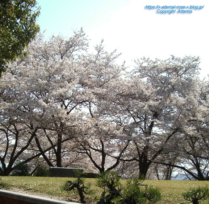 11.4.14.1 半田山植物園  (94)