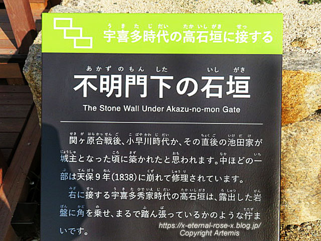 23.1.1.1 岡山城  (38)