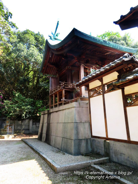 22.5.5.4 渋川八幡宮 (14)