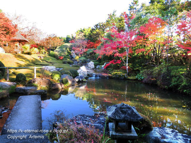 19.11.23.7 妙心寺 退蔵院  (70)