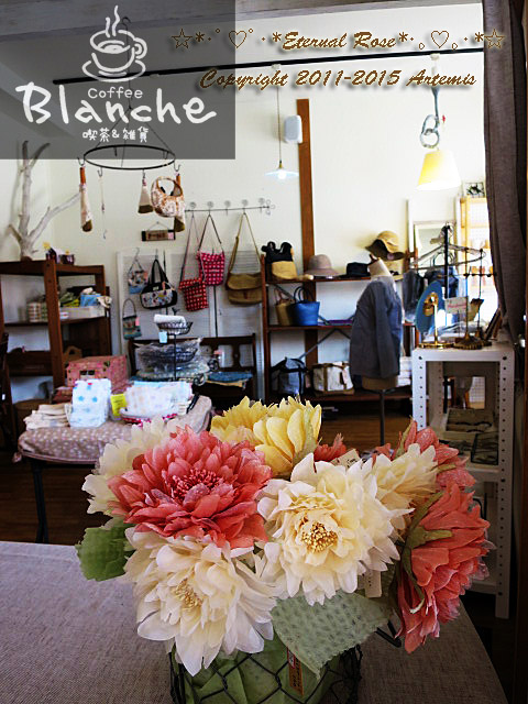 11 ブランシュ (57)