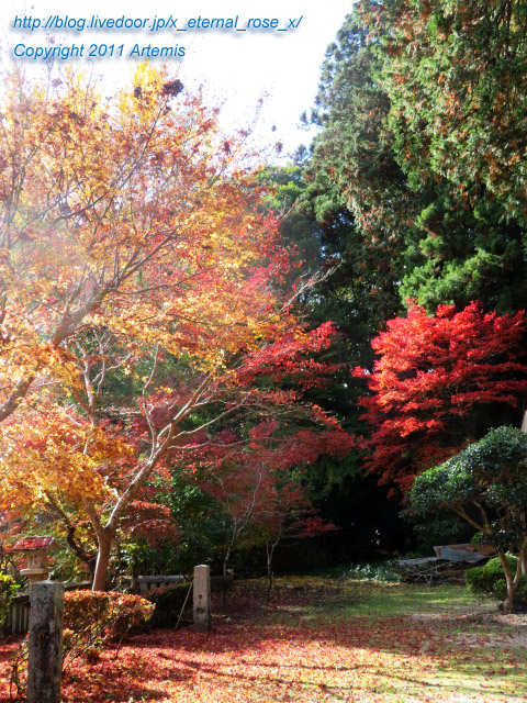 20.11.21.3 備中高梁稲荷神社  (16)