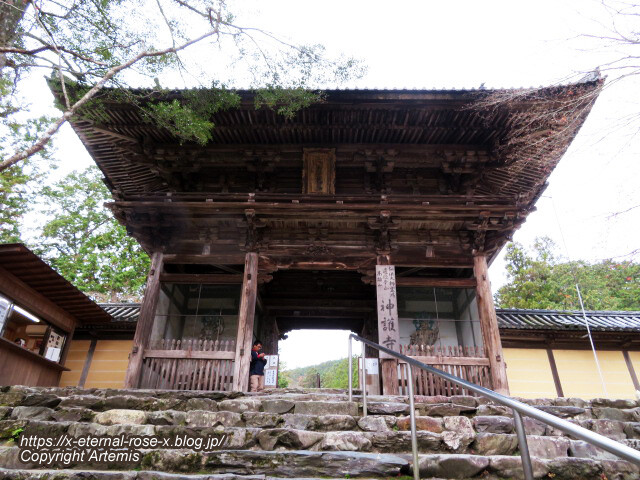 19.11.27 高雄 神護寺 (49)