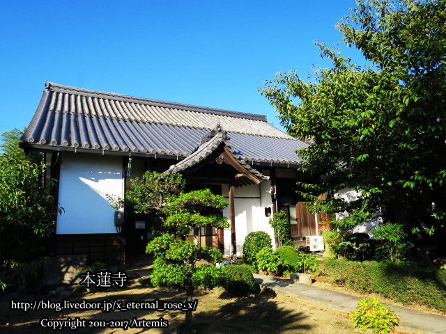 10 本蓮寺 (14)