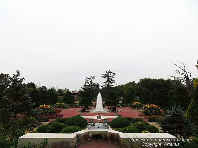 19.11.241 京都府立植物園 (167)