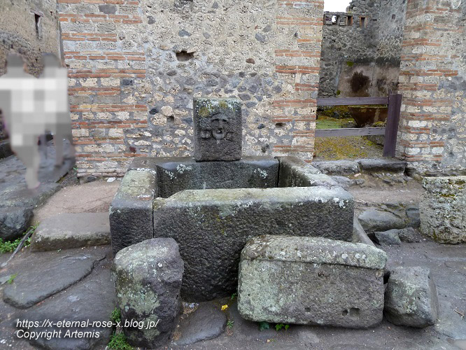11.6.1.8 ポンペイ遺跡 水道　 (127)