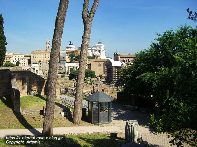 11.5.30.4 コロッセオ  (10)