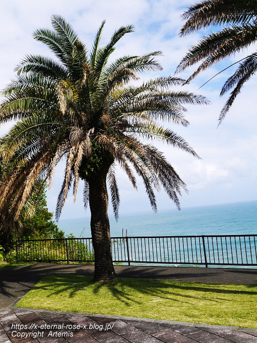 20.11.1.5 いるか岬  (22)