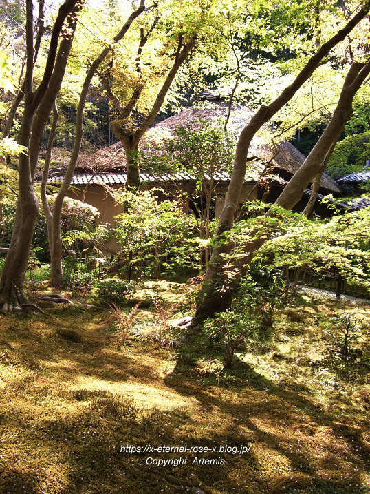 09.4.11.5. 祇王寺  (4)