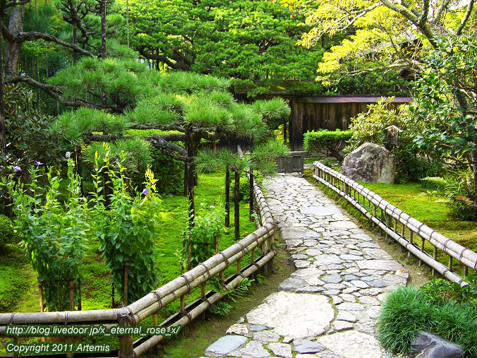 10.10.18.5 宝泉院  (1)