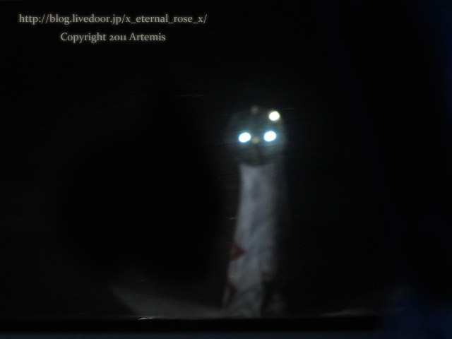 18.1.17.12 バスツアー夜ご飯松坂牛肉巻き寿司  (6)