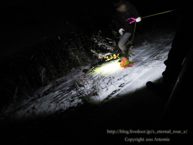 18.11.21.9 青い池  (54)