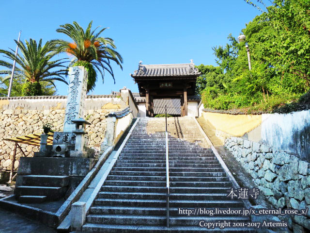 10 本蓮寺 (2)
