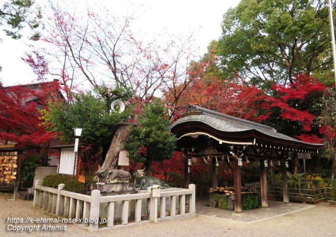 19.11.26.4 長岡天神 (57.)