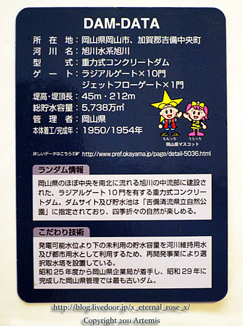 17.5.10 cocco (64)