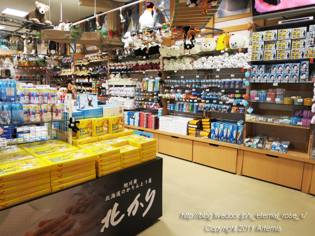 18.11.22.14 旭山動物園 (11)