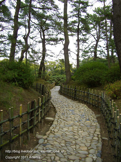 11.2.20 栗林公園 (35)