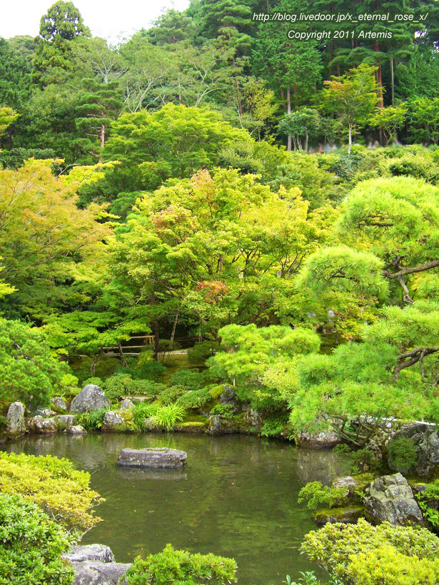 10.10.19.1 銀閣寺 (25)