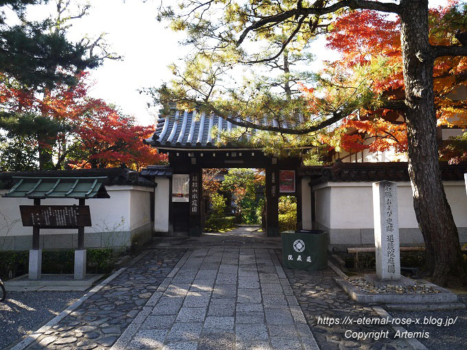 19.11.23.7 妙心寺 退蔵院  (102)