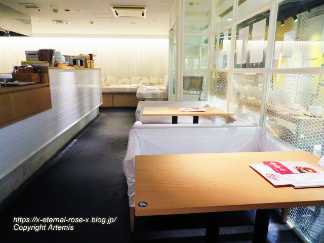 21.3.6 chano-ma 岡山  (26)