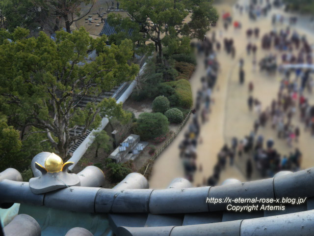 23.1.1.3 岡山城  (43)