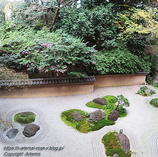 21.11.26.15 カフェ33 (10)