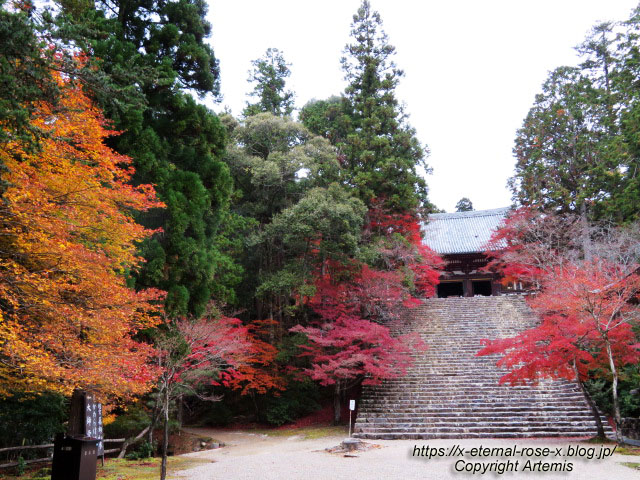 19.11.27 高雄 神護寺  (76)