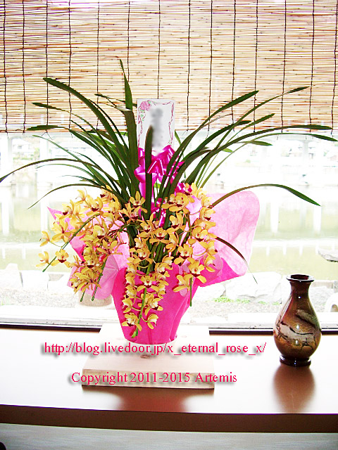 31 しのはら (11)