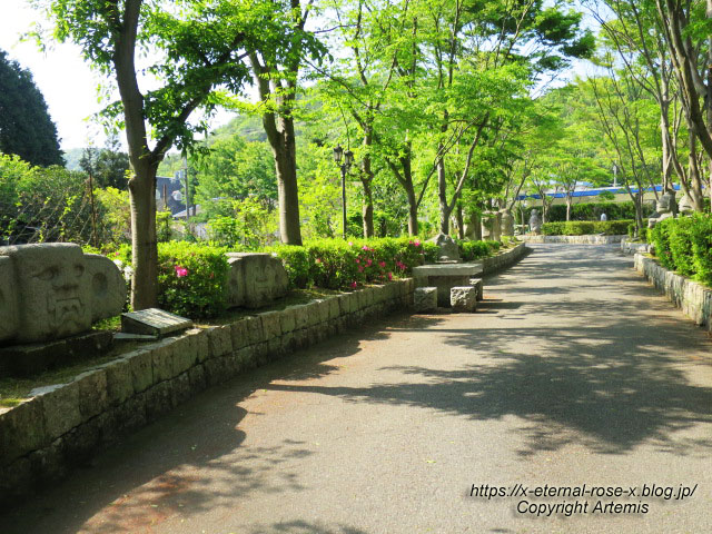 17.5.1.9 太陽公園 石のエリア (46)