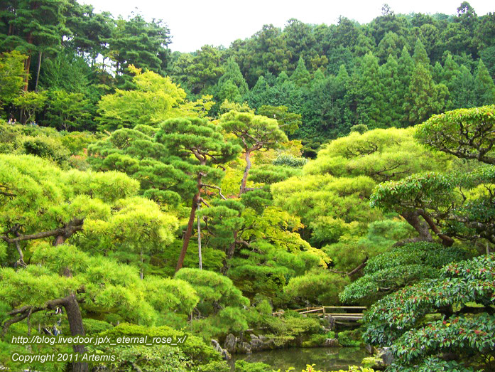 10.10.19.1 銀閣寺 (26)