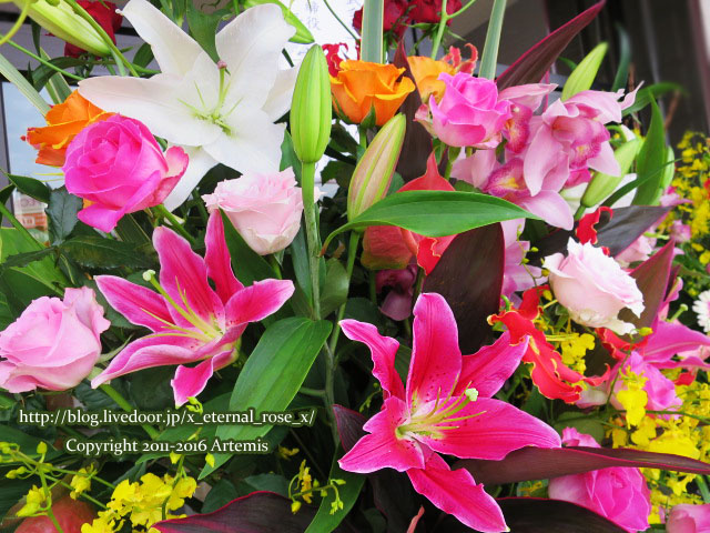 15 岡山珈琲館和気店  (52)