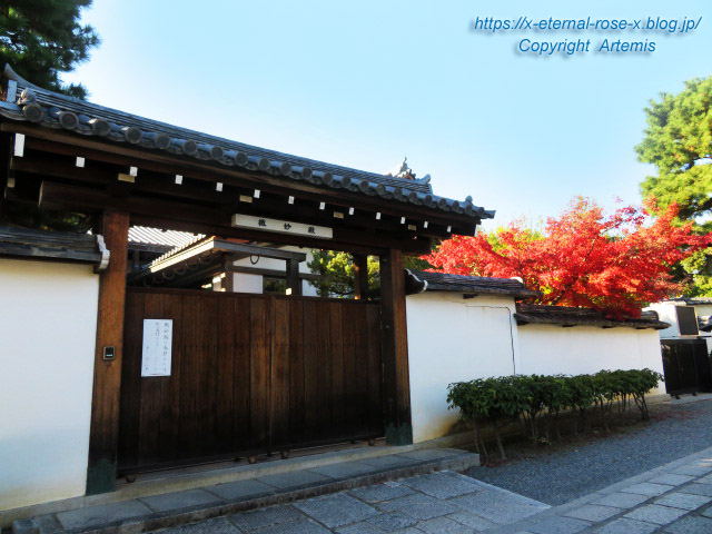 19.11.23.5 海福院 微妙殿 (7)