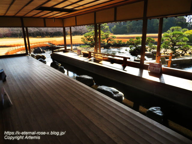 23.1.1 岡山後楽園  (86)