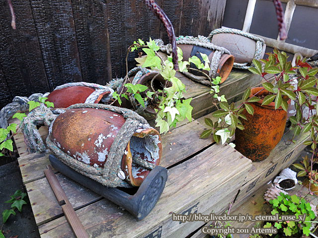 18.6.16.5 しょっぴんぐばさーる館 (15)