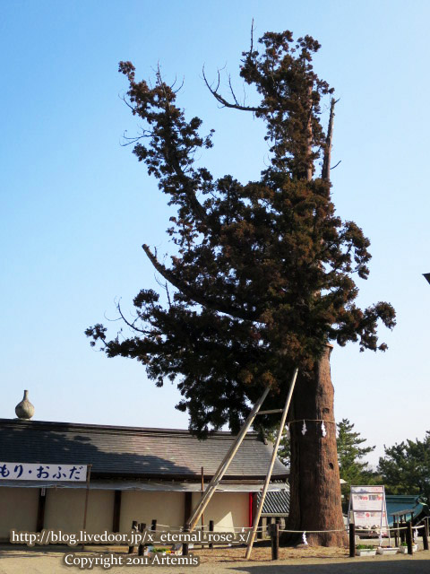 18.1.20 吉備津彦神社  (24)